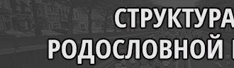 Структура родословной книги