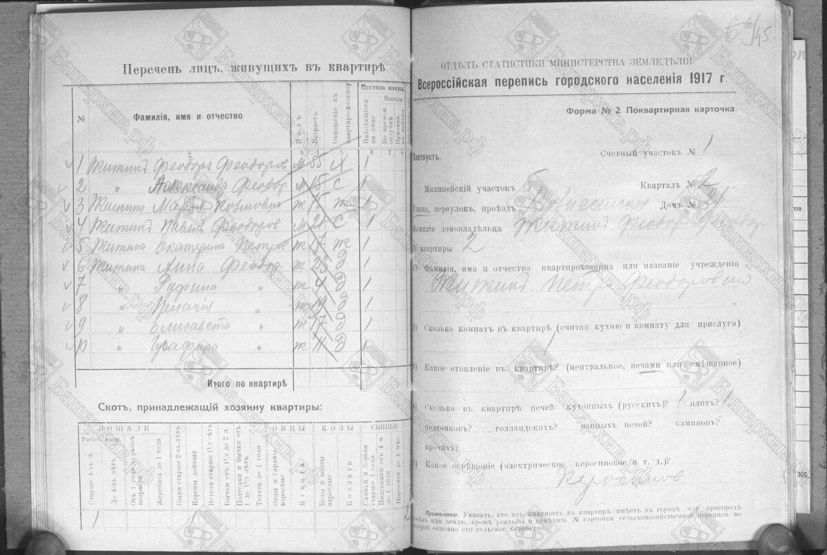Р-473, опись 1, д.165 ул. Вознесенская, г. Златоуст – Жижин Федор Федорович, Жижина Мария Козьмина Материалы сельскохозяйственной, поземельной и поквартирной переписи населения 1917 года по городу Златоусту