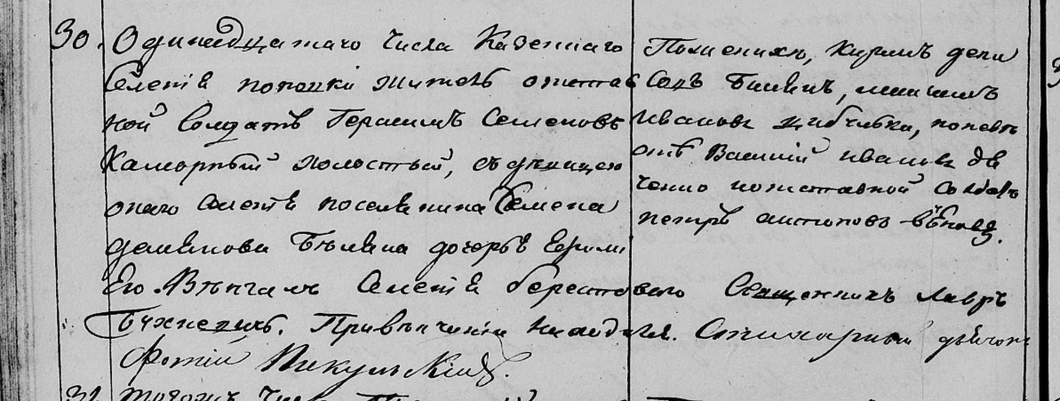 Женские линии рода Маныч: Коморные, Беляк и Старун