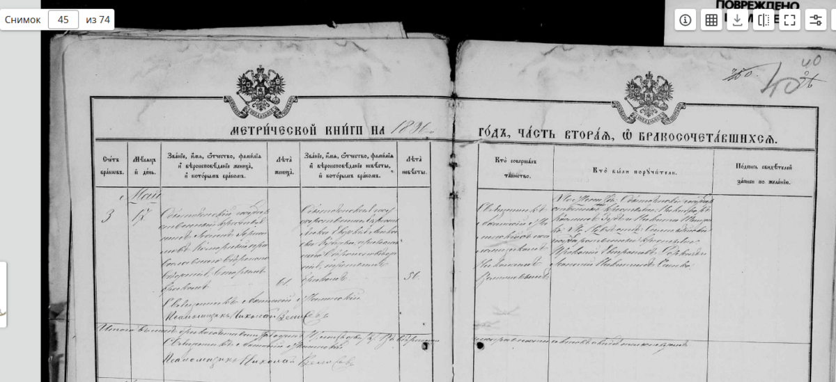 Женские линии рода Маныч: Коморные, Беляк и Старун